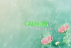 ³ǅ^(q)WCADĂǰʮ