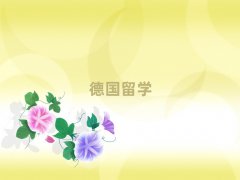 ^(q)W(xu)нC(gu)