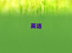 2025̄ӢZZQӖ