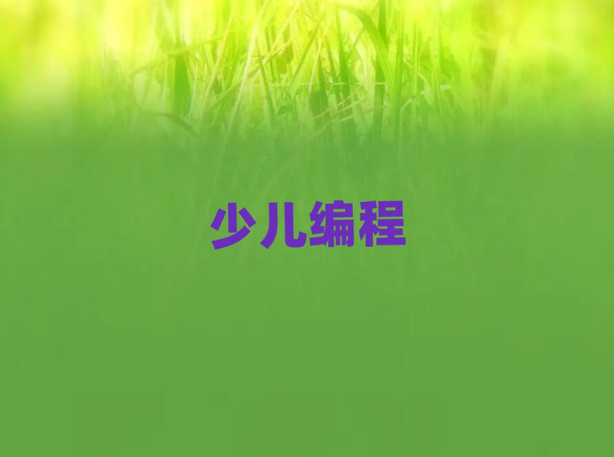 唐山少兒編程培訓(xùn)學(xué)校