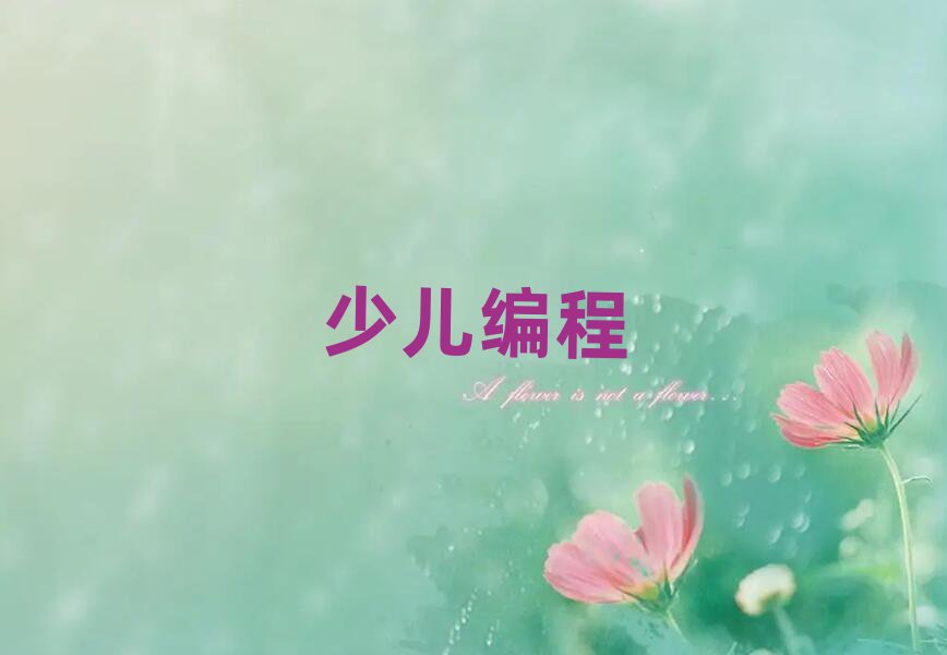 銀川少兒編程培訓(xùn)學(xué)校
