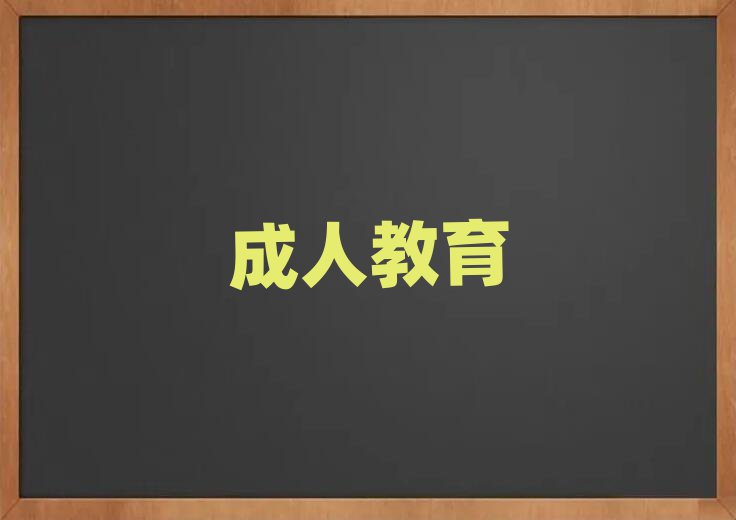 2019V󞳅^(q)С늾Sa(x)