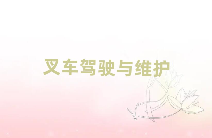 2019̄(w)ӢZZӖ(xn)X