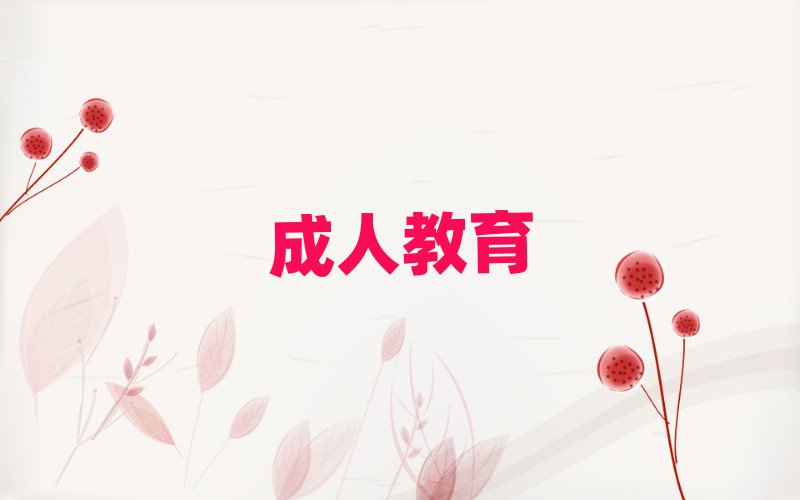 2019年廈門湖里區(qū)讀阿拉伯語哪個(gè)學(xué)校好