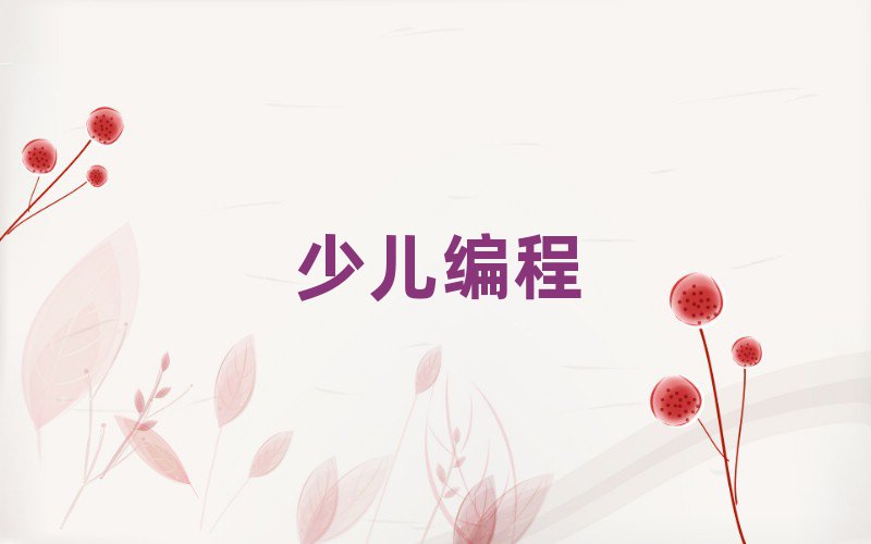 銀川在哪學(xué)青少年編程好