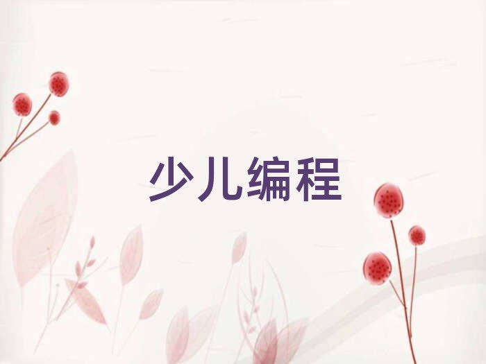 2019重慶黔江區(qū)學(xué)習(xí)高中生學(xué)編程