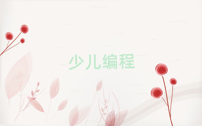 銀川學(xué)高中生編程到哪里