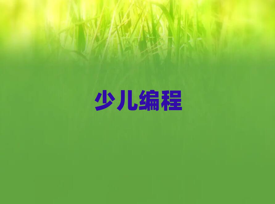 福州青少年編程培訓(xùn)學(xué)校