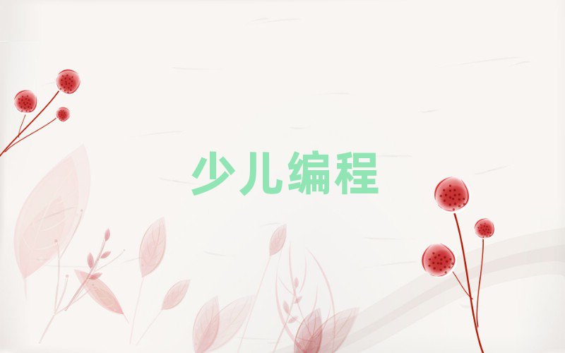 銀川興慶區(qū)兒童學編程一對一培訓