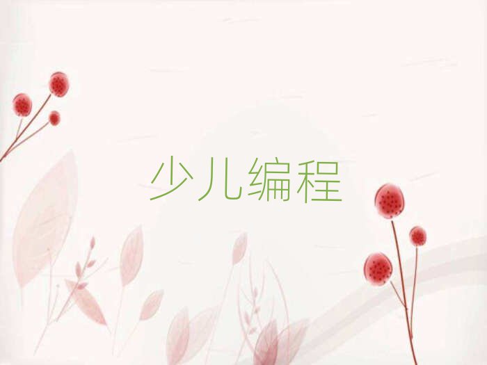 北京小學(xué)生編程培訓(xùn)學(xué)校
