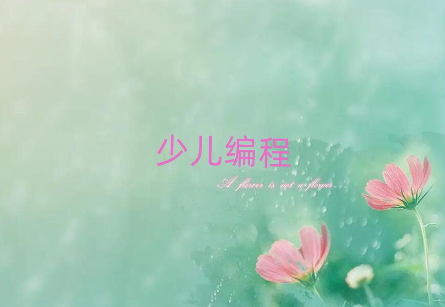 北京門頭溝區(qū)學(xué)小學(xué)生編程哪里比較好