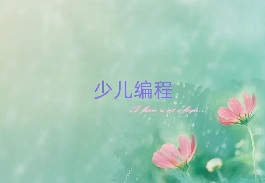 小學生編程