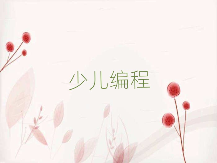 銀川少兒編程培訓(xùn)學(xué)校