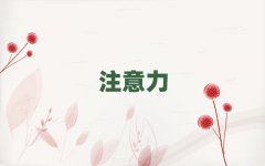 2025W(xu)كxϵKʲôW(xu)У
