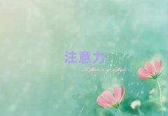 ^(q)(bo)ͯעӖ(xn)