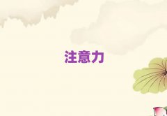 2025꺣ںעӖ(xn)W(xu)Ă(g)W(xu)У