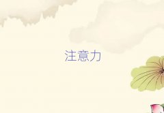 2024ϾP(gun)^(q)كעӖ(xn)Ӗ(xn)M(fi)öX(qin)