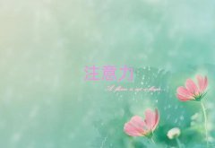 2025^(q)W(xu)ͯעӖ(xn)(bo)