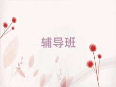 2025年西安蓮湖區(qū)高中語文補習(xí)班