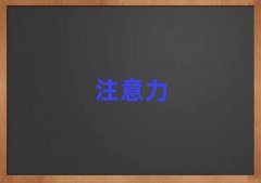 ӶӰYmӖ(xn)W(xu)У΅R