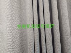 20254·ھCYCӖ(xn)