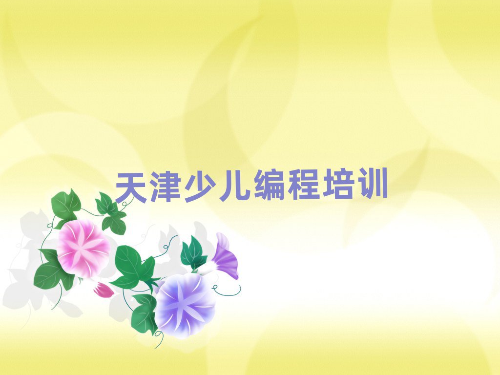 天津河西區(qū)下瓦房恒華大廈哪里學(xué)小孩編程比較好前十名
