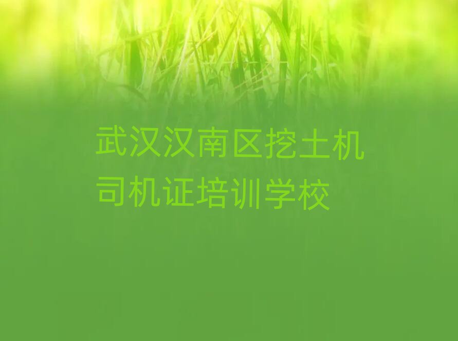 武漢漢南區(qū)學(xué)挖土機司機證學(xué)校十大排名名單公布