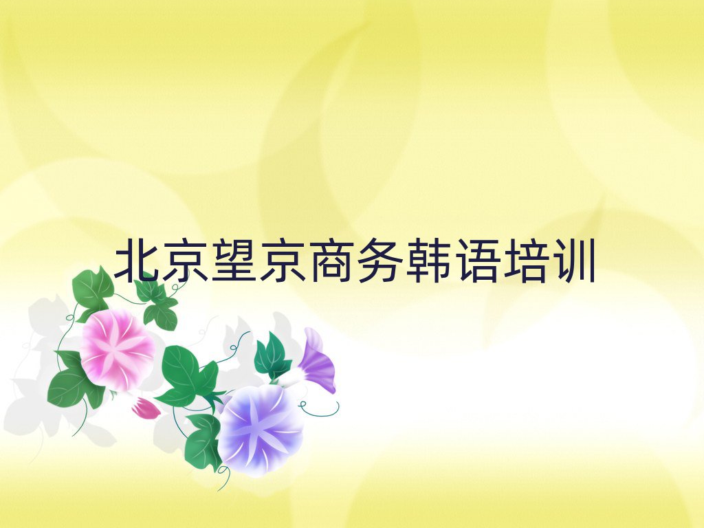 北京望京去哪學(xué)商務(wù)韓語名單榜首一覽