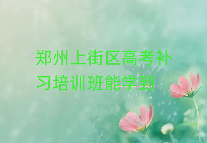 鄭州上街區(qū)高考補(bǔ)習(xí)培訓(xùn)班能學(xué)到