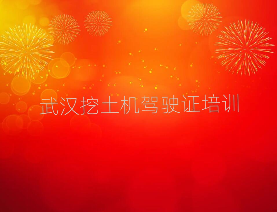 武漢漢南區(qū)哪學(xué)挖土機駕駛證好排名口碑好的