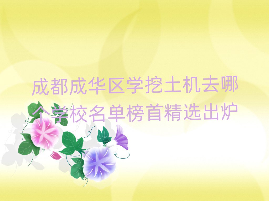 成都成華區(qū)學挖土機去哪個學校名單榜首精選出爐