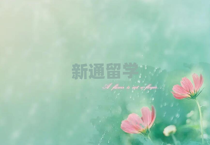 ͨW(xu)