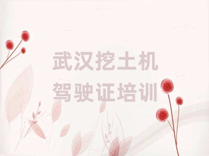 武漢漢南區(qū)學(xué)挖土機(jī)駕駛證比較好的學(xué)校今日一覽公布