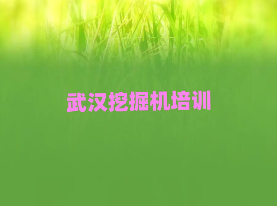 武漢漢南區(qū)學(xué)挖土機(jī)司機(jī)證哪個學(xué)校好十大排名名單公布