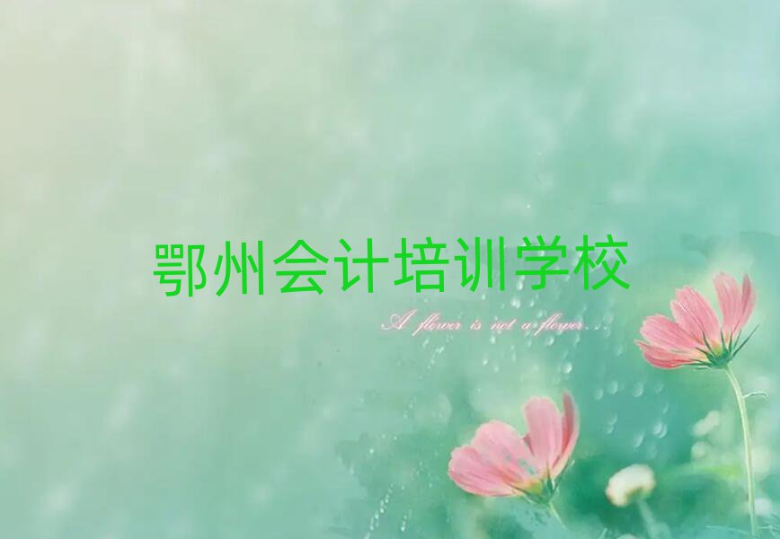 鄂州會計網(wǎng)絡(luò)培訓(xùn)今日一覽公布