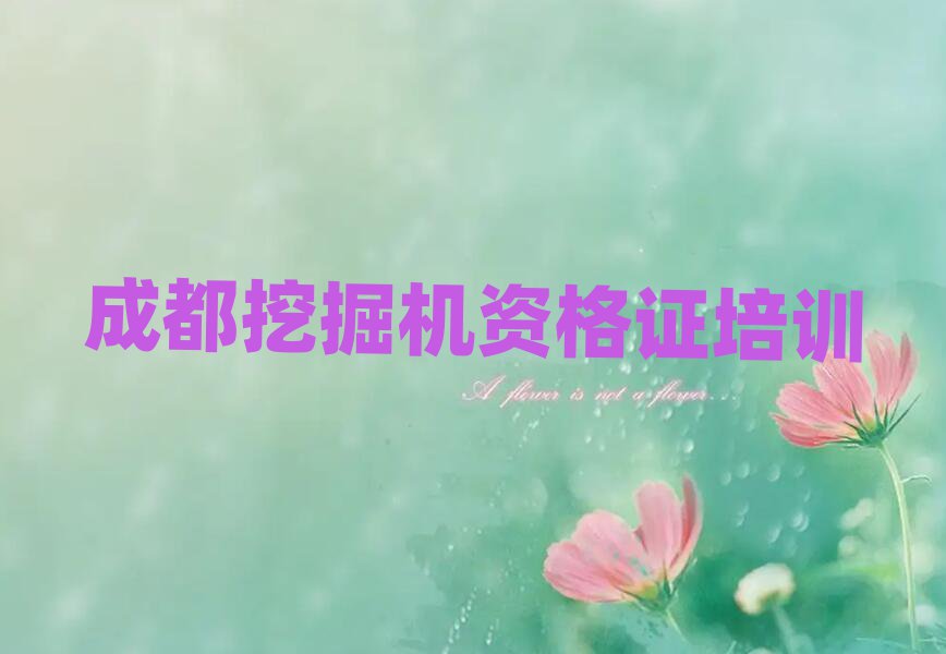 成都成華區(qū)專業(yè)挖掘機資格證培訓學校一覽