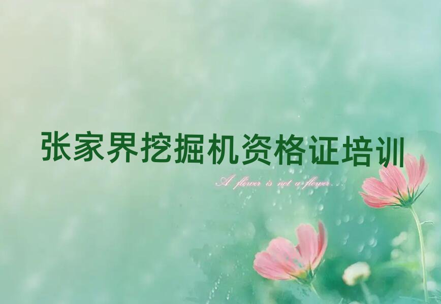 張家界學(xué)挖掘機資格證的地方精選名單出爐