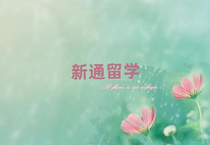 新通留學(xué)