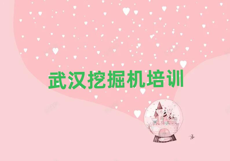 武漢新洲區(qū)學(xué)挖掘機(jī)駕駛證好的學(xué)校十大正規(guī)排行