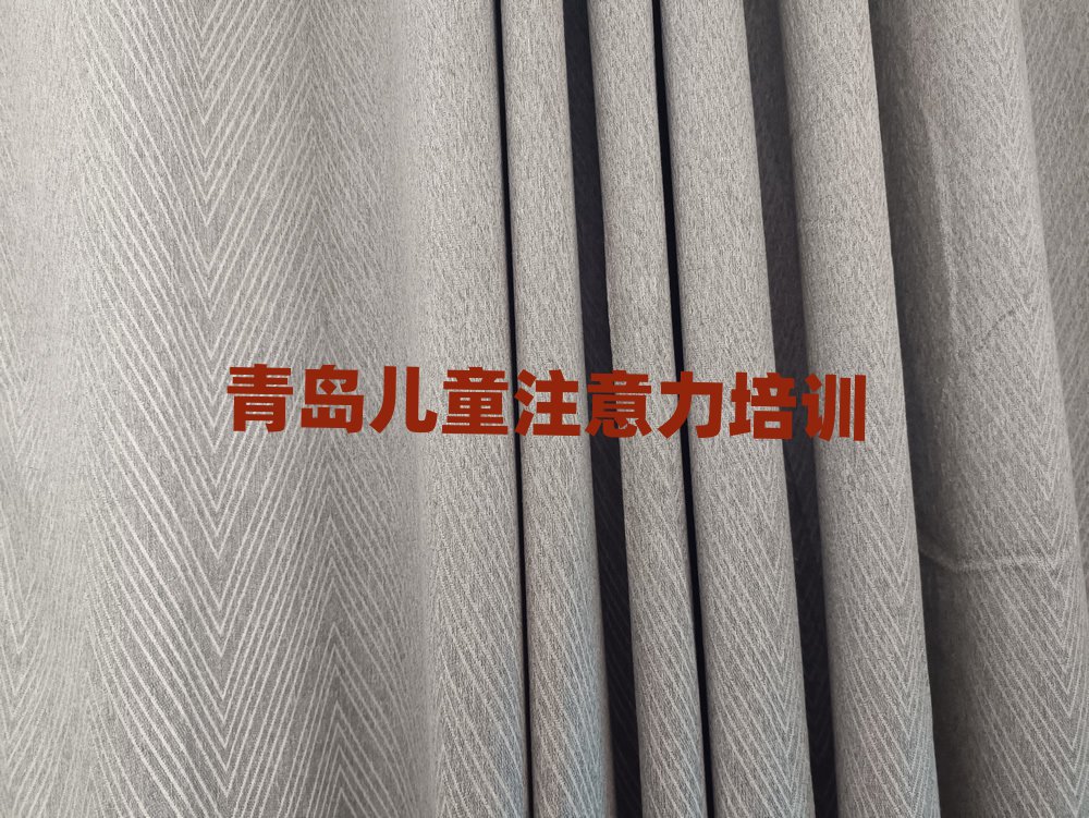 2025年青島城陽區(qū)兒童注意力訓練培訓多少錢學費合適排名top10