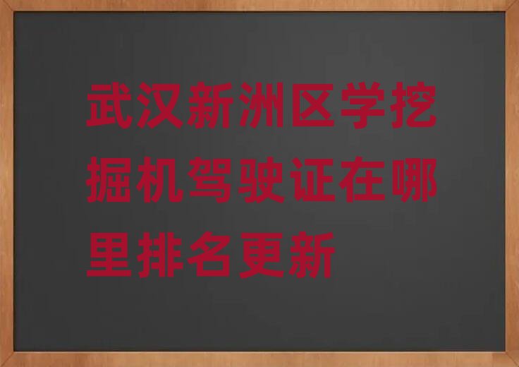 武漢新洲區(qū)學(xué)挖掘機(jī)駕駛證在哪里排名更新