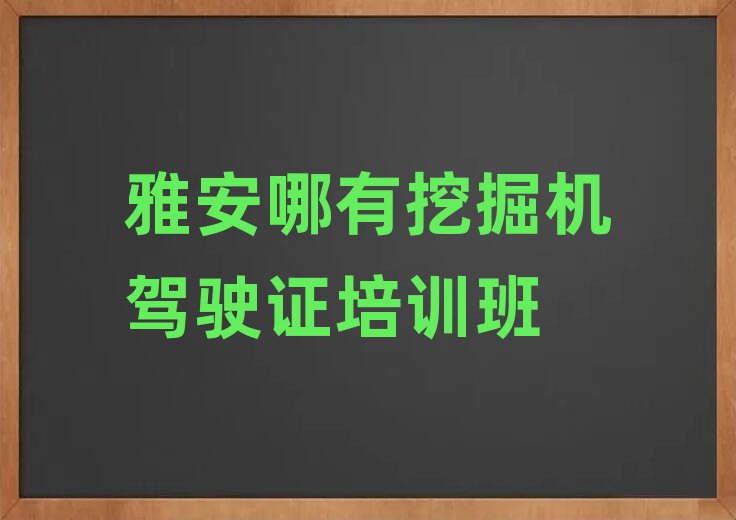 雅安哪有挖掘機(jī)駕駛證培訓(xùn)班