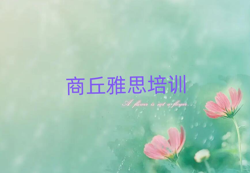 商丘睢陽(yáng)區(qū)學(xué)雅思哪個(gè)學(xué)校比較好名單揭秘一覽