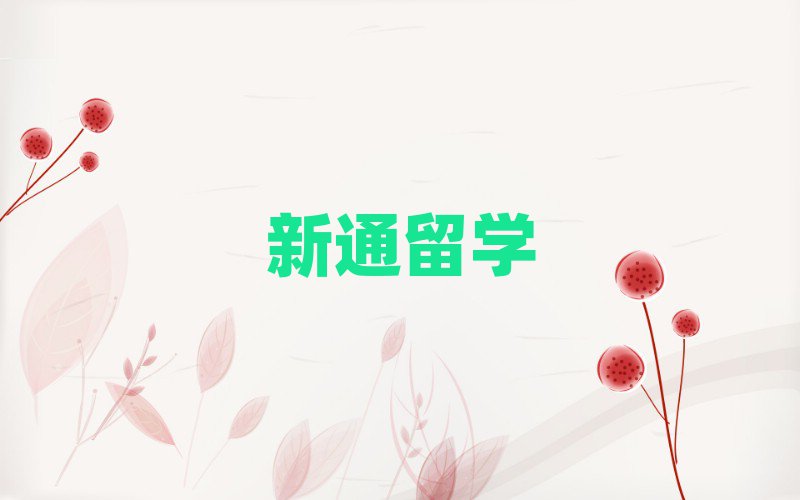 上海閔行區(qū)口碑排名前十大美國研究生留學(xué)中介名單匯總