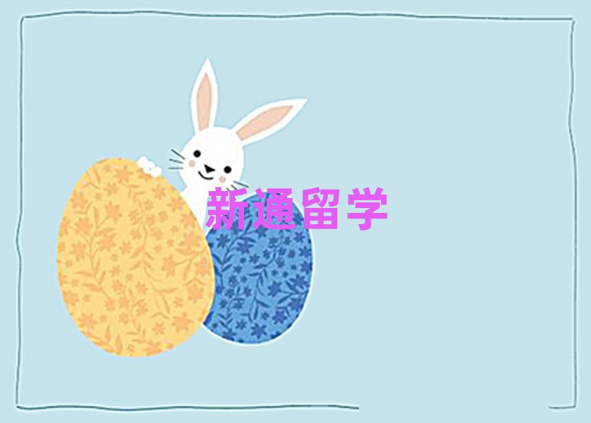 美國本科留學