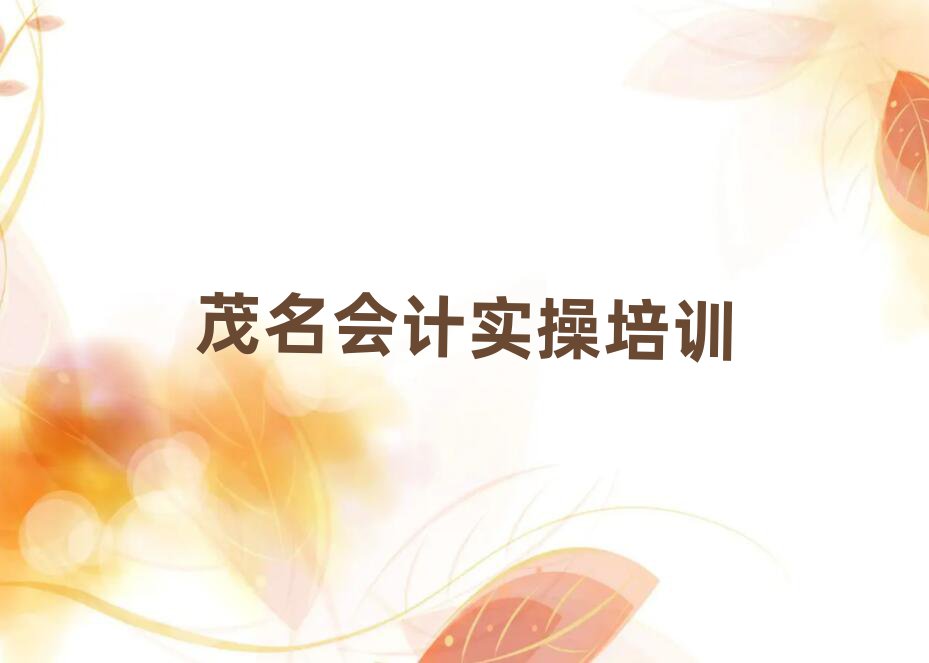 2025ïW(xu)(hu)Ӌ(j)(sh)ļҌW(xu)У˚аһ[