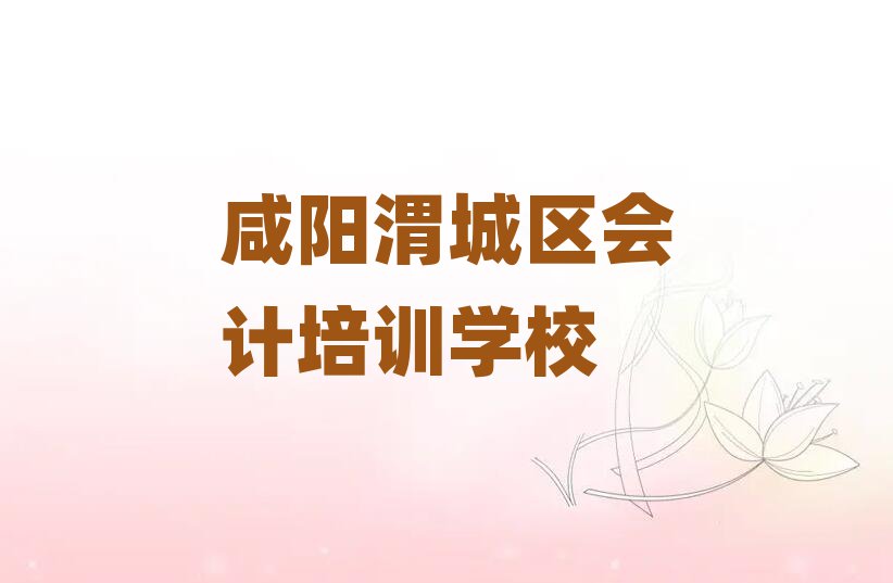 2025年咸陽(yáng)渭城區(qū)學(xué)會(huì)計(jì)哪個(gè)好排名公布