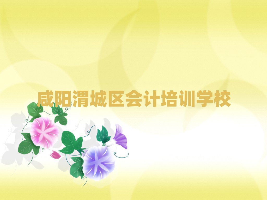 2025咸陽(yáng)渭城區(qū)會(huì)計(jì)網(wǎng)上培訓(xùn)班排名前十