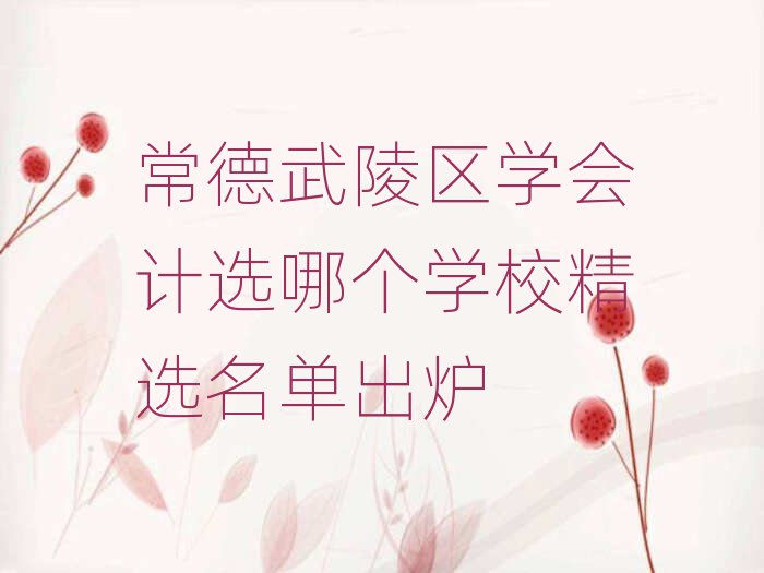 常德武陵區(qū)學(xué)會(huì)計(jì)選哪個(gè)學(xué)校精選名單出爐