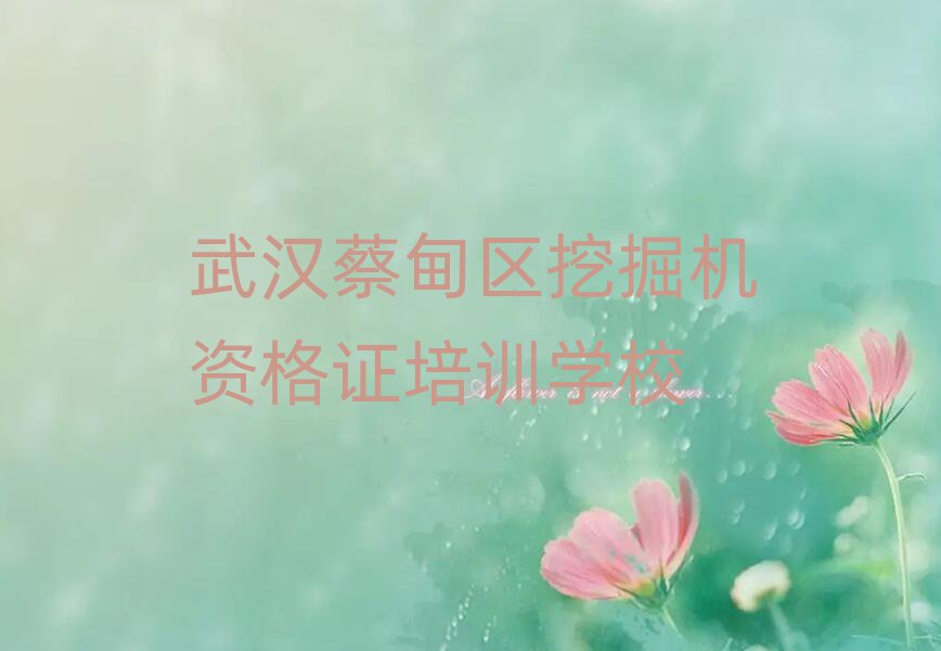 武漢蔡甸區(qū)專業(yè)學(xué)挖掘機(jī)資格證的學(xué)校值得推薦的名單榜首一覽